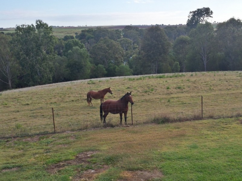 228 Old Creek Road, Apple Tree Creek QLD 4660