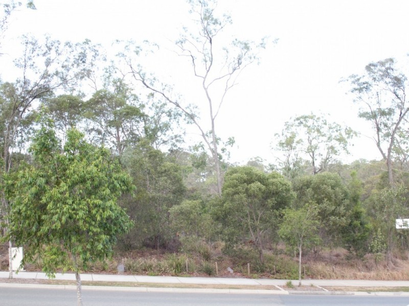 25 Ridgevale Boulevard, Holmview QLD 4207