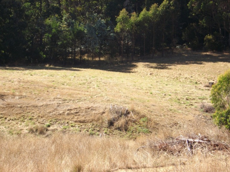 69 Knox Drive, South Spreyton TAS 7310