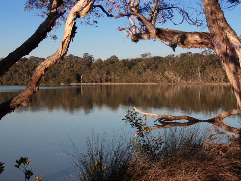 8 Morning Glory Drive, Cooroibah QLD 4565