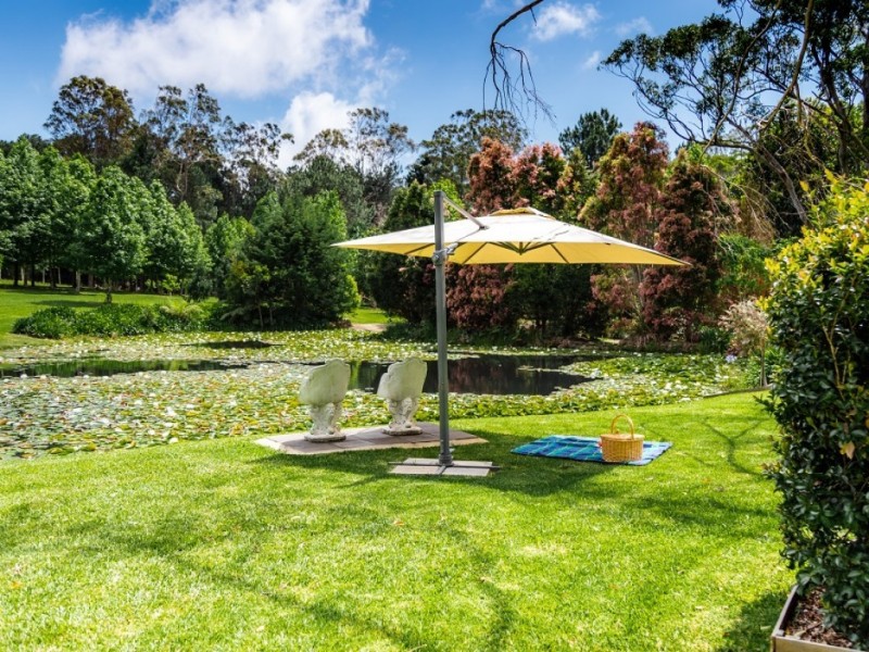 17 Lyrebird Ridge Road, Springbrook QLD 4213