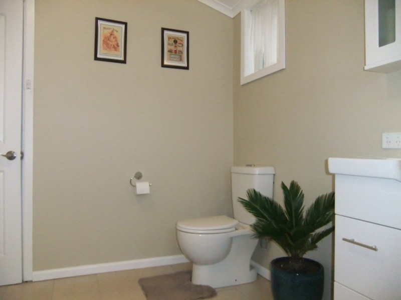 67 Weir Street, Euroa VIC 3666