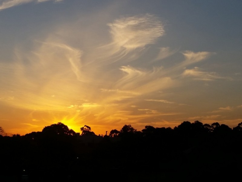 206/6 Sunbeam Street, Campsie NSW 2194