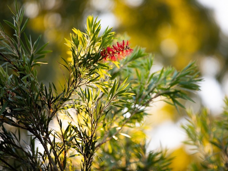 539 Junction Road, Barellan Point QLD 4306