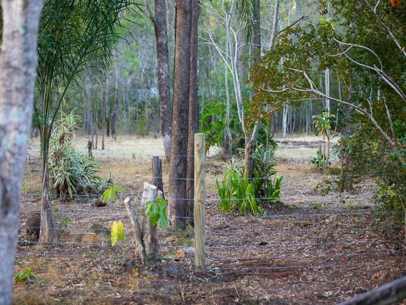 539 Junction Road, Barellan Point QLD 4306