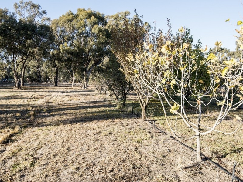 1-5 Cemetery Road, Katamatite VIC 3649