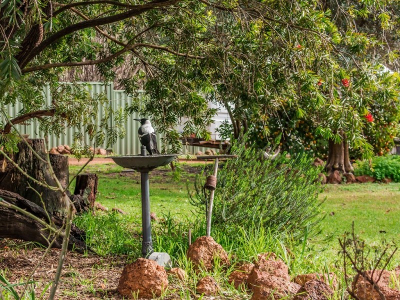 18 Begonia Court, Dwellingup WA 6213