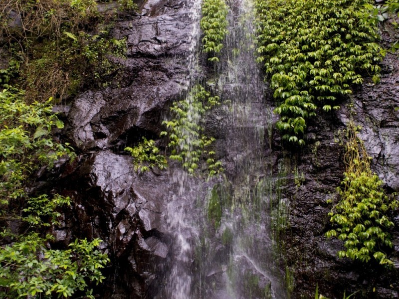 14 Weismantle Rd, Nimbin NSW 2480