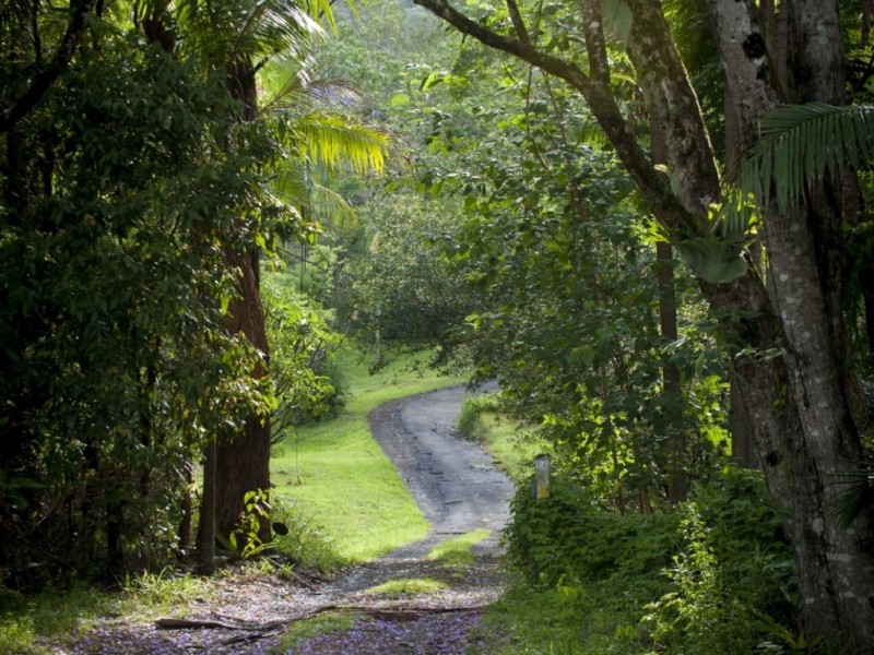 14 Weismantle Rd, Nimbin NSW 2480