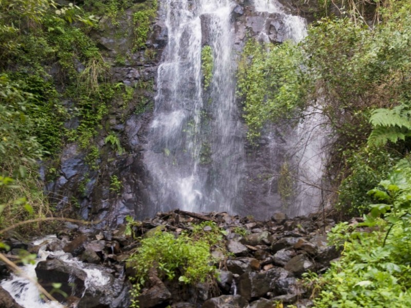 14 Weismantle Rd, Nimbin NSW 2480