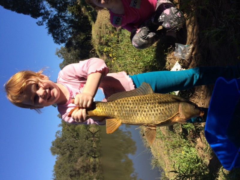 38-112 Anzac Avenue, Chambers Flat QLD 4133