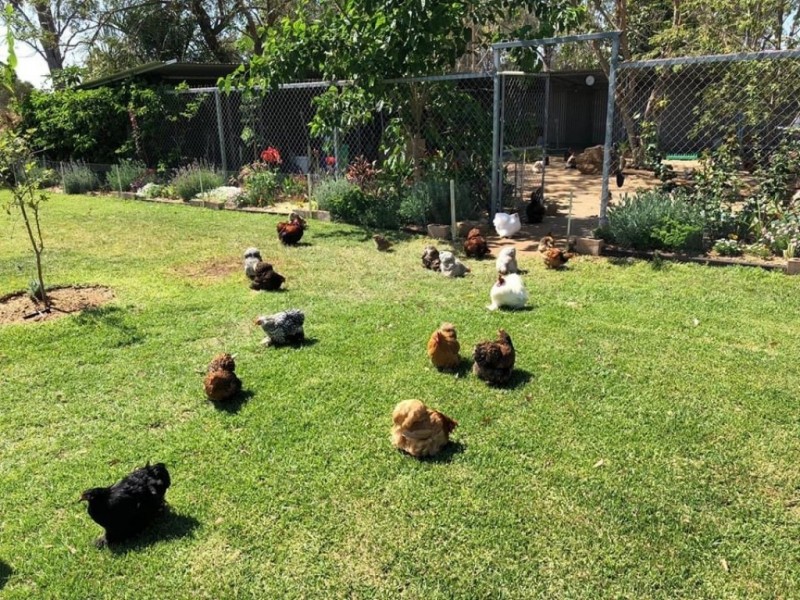 22 Mountain View Drive, Adare QLD 4343