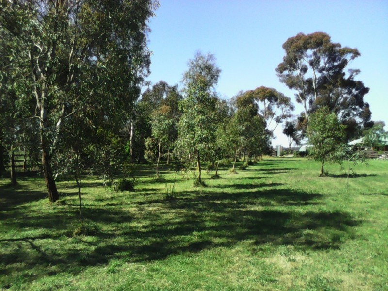 1390 Girgarre East Road, Tatura VIC 3616