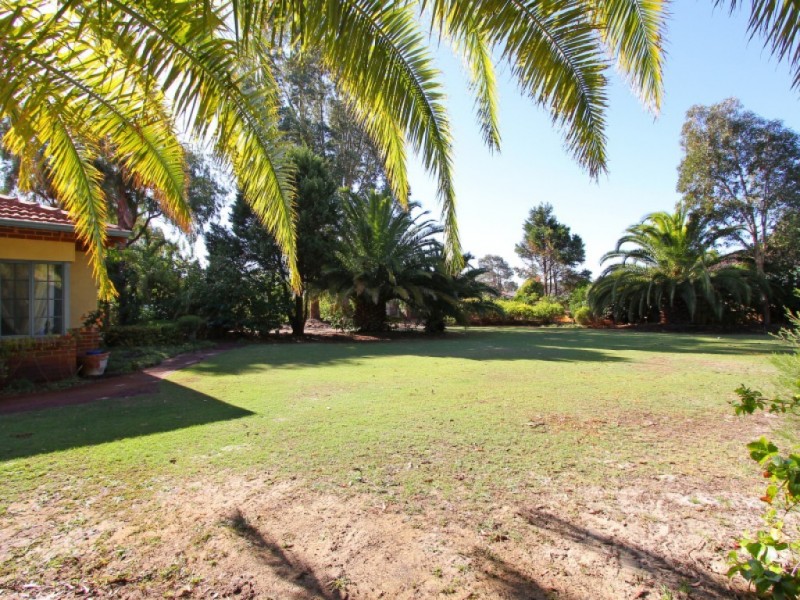 14 Chardonnay Drive, The Vines WA 6069