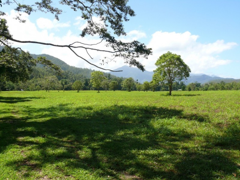 66 Papacek Access, Little Mulgrave QLD 4865