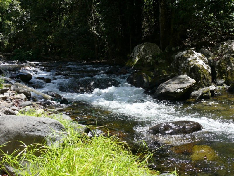 66 Papacek Access, Little Mulgrave QLD 4865