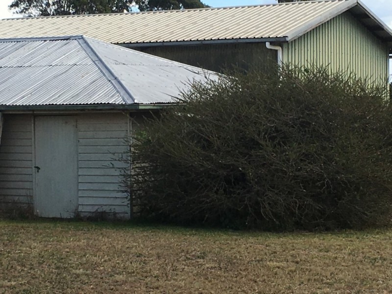 90 Brennan Road, Hampton QLD 4352