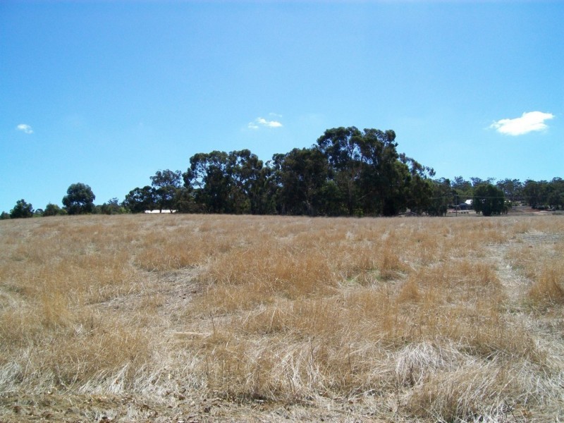 47 Pelican Rise, Chittering WA 6084