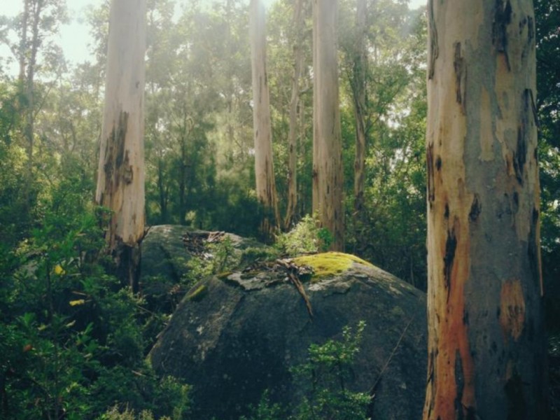 46 Ruhen Place, Denmark WA 6333