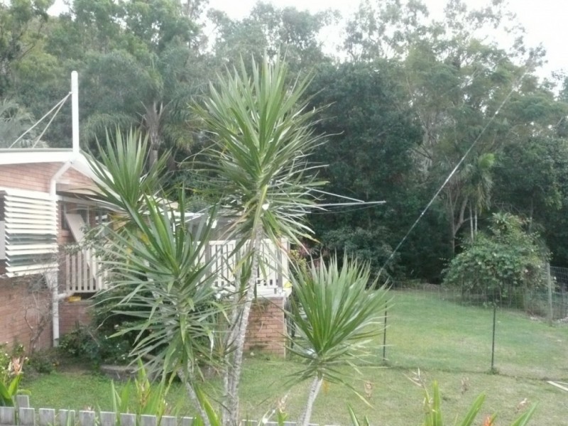 10 Sturgeon Street, Ball Bay QLD 4741