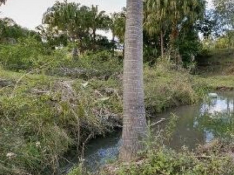 559 Rocks Road, Pie Creek QLD 4570