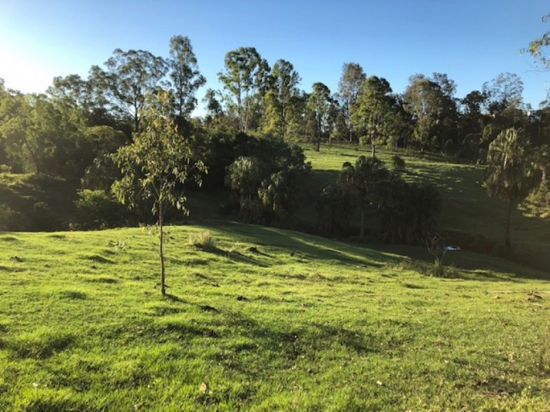 559 Rocks Road, Pie Creek QLD 4570