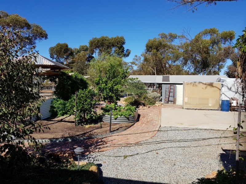 22 Massingham Street, Kellerberrin WA 6410