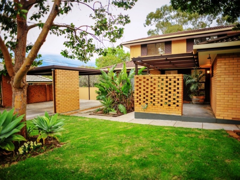 50 Cinnamon Ave, St Agnes SA 5097