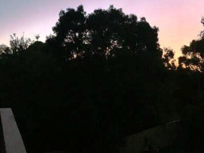 50 Cinnamon Ave, St Agnes SA 5097