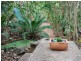 466 Forestry Road, Bluewater Park QLD 4818