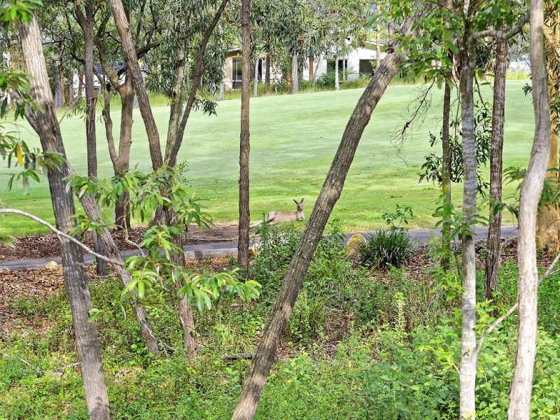 19/99 Brookwater Drive, Brookwater QLD 4300