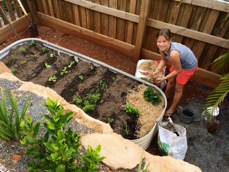 1 Macaranga Place, Yeppoon QLD 4703