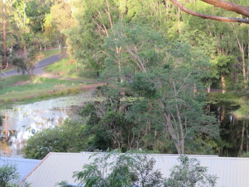 134 Diamond Valley Rd, Diamond Valley QLD 4553