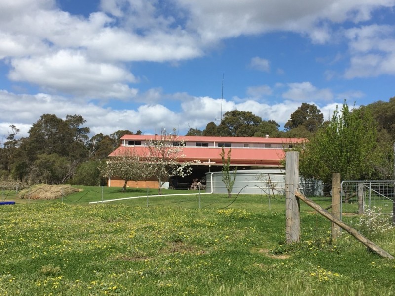 Cnr Fox Road and Vasse Highway, Pemberton WA 6260