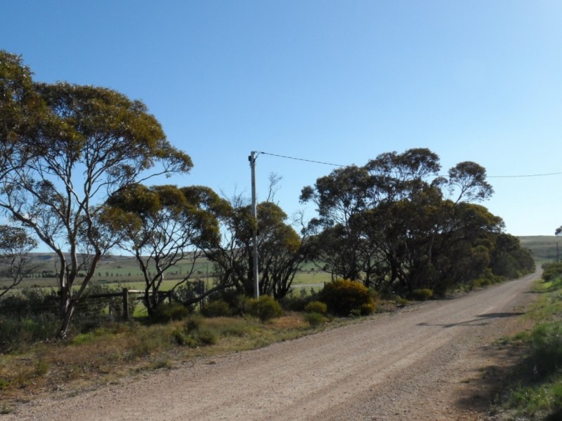 12 Hoad Road, Sanderston SA 5237