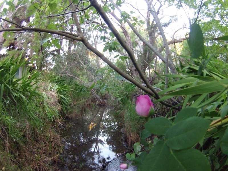 610 Johnston Road, Parkerville WA 6081