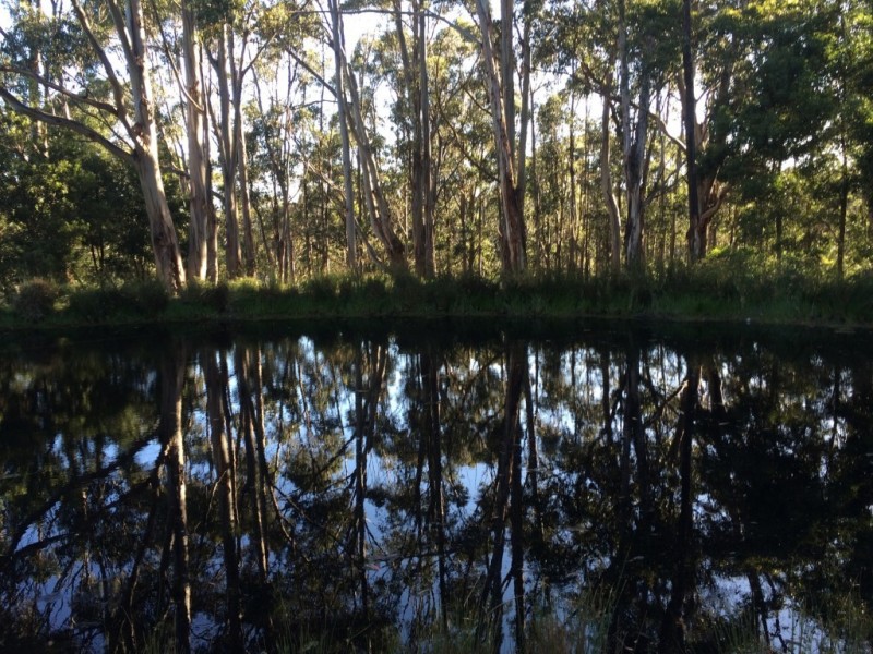 302 Leslie Rd, Kingston TAS 7050