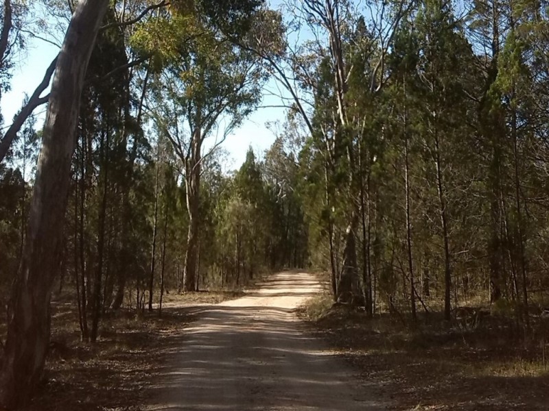 104 Jones Road, Stanthorpe QLD 4380