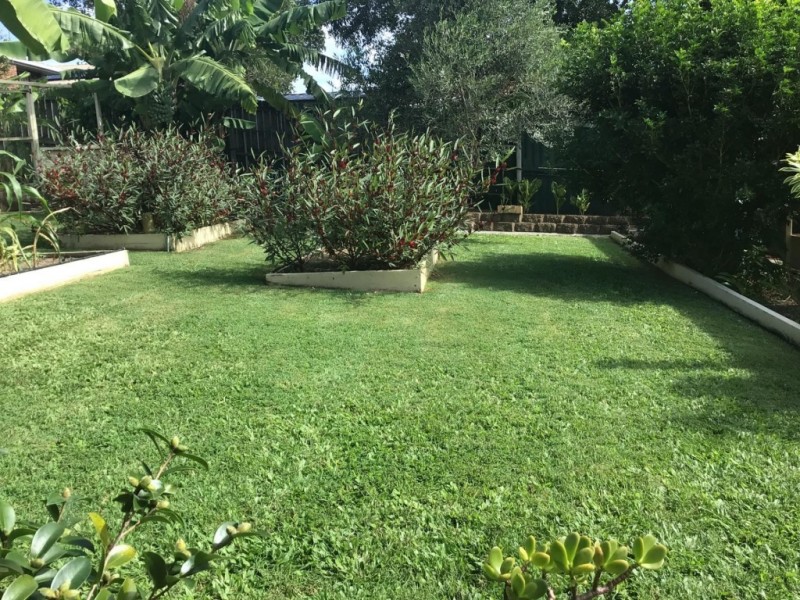 9 Haupt Avenue, Pialba QLD 4655