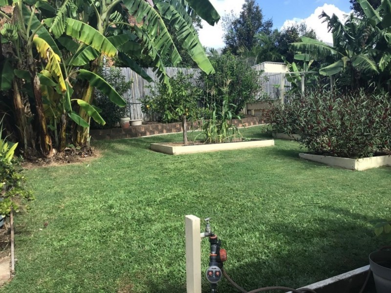 9 Haupt Avenue, Pialba QLD 4655