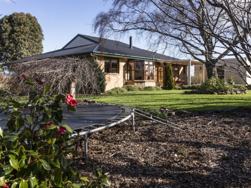 438 Braddons Lookout Road, Forth TAS 7310