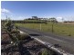 438 Braddons Lookout Road, Forth TAS 7310