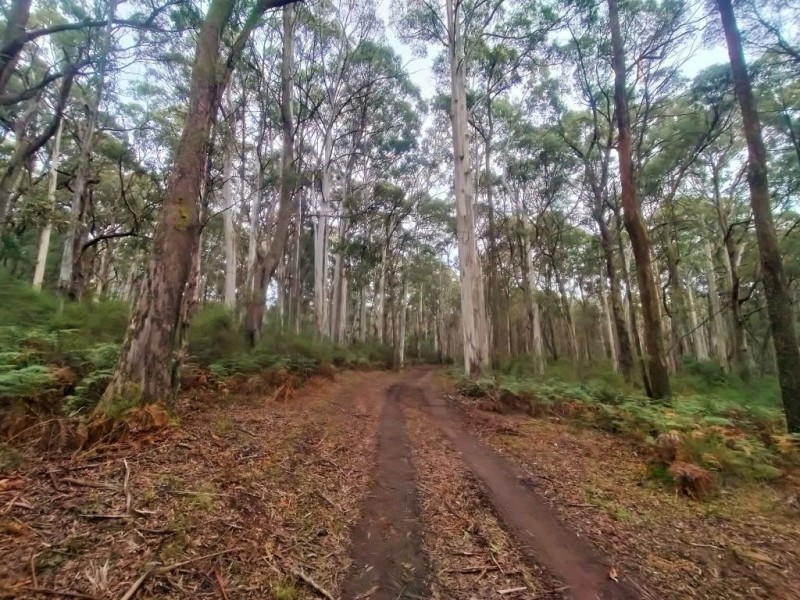 587 Bunstons Road, Tolmie VIC 3723