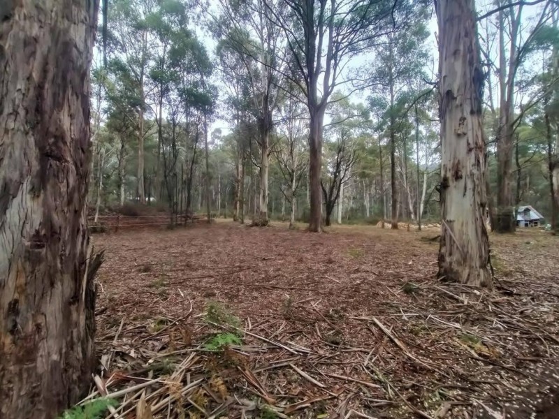 587 Bunstons Road, Tolmie VIC 3723