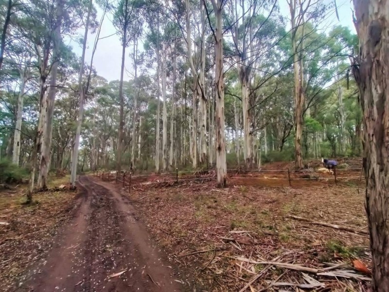 587 Bunstons Road, Tolmie VIC 3723