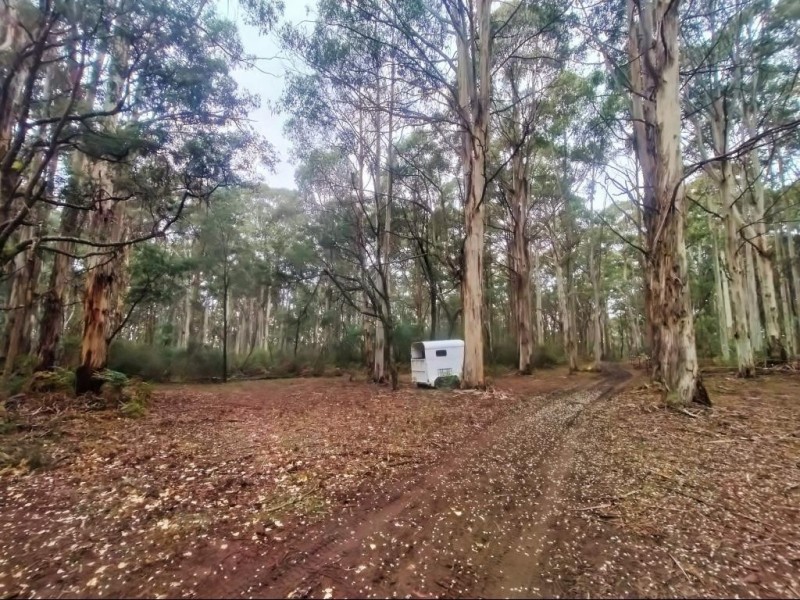 587 Bunstons Road, Tolmie VIC 3723