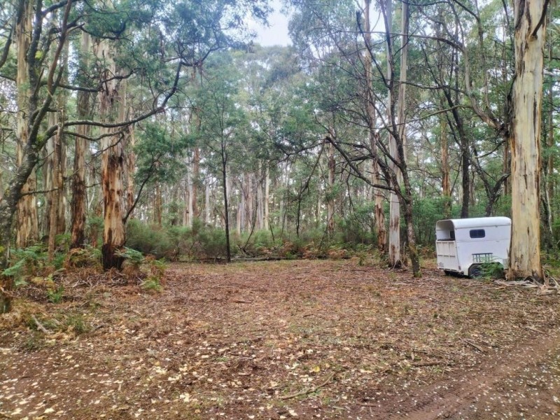 587 Bunstons Road, Tolmie VIC 3723