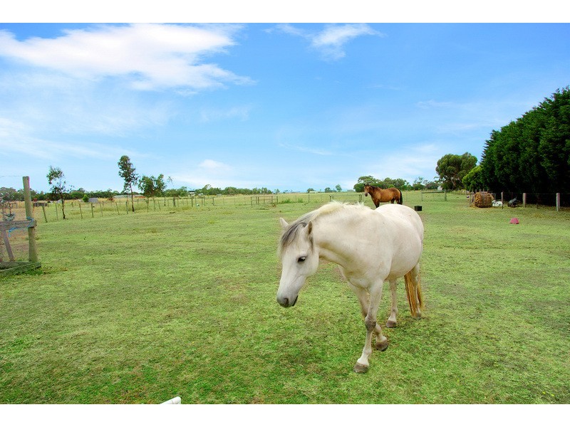 95 Horseshoe Bend Road, Marshall VIC 3216