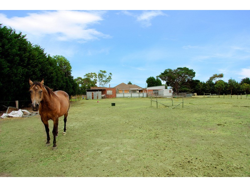 95 Horseshoe Bend Road, Marshall VIC 3216