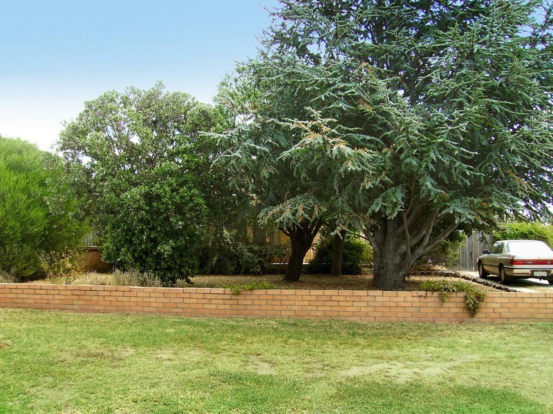 10 Chapel Street, Whittington VIC 3219